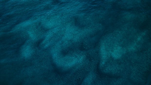 Top 5 Coastal Retreats for the Ultimate Bloom Tide Experience